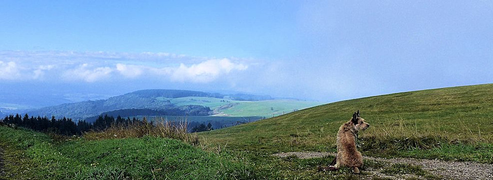 Wasserkuppe, Morgennebel 2aa1