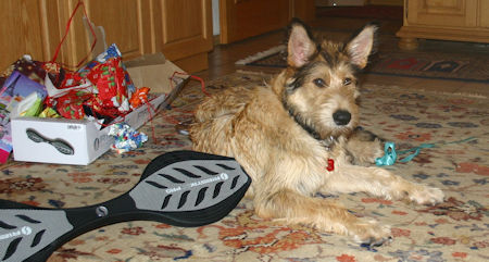 Weihnachtsstress1a  26.12.10