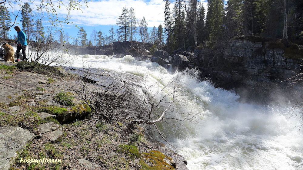 Fossmofossen Tag 6
