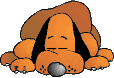 Schlafender_Hund_1_