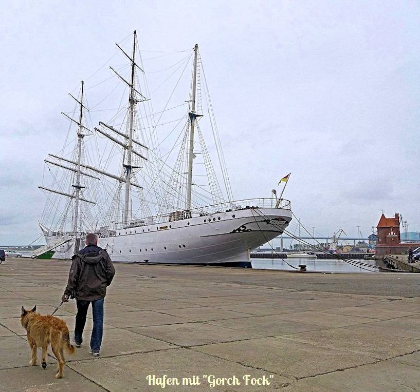 Stralsund Hafen mit Gorch Fock 1a