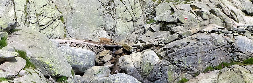 cascade des radule-max1a1