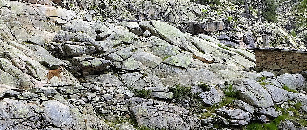 cascade des radules- refuge 2a