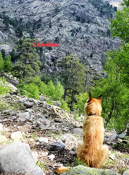 cascade des radules 1aa