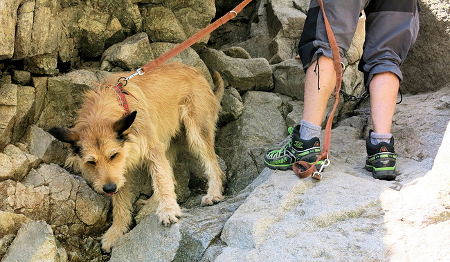 costello geschafft a